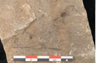 Foto (Detailansicht) von Jordania moravica Helmh. (NHMW-GEO-2024-0188-11136)